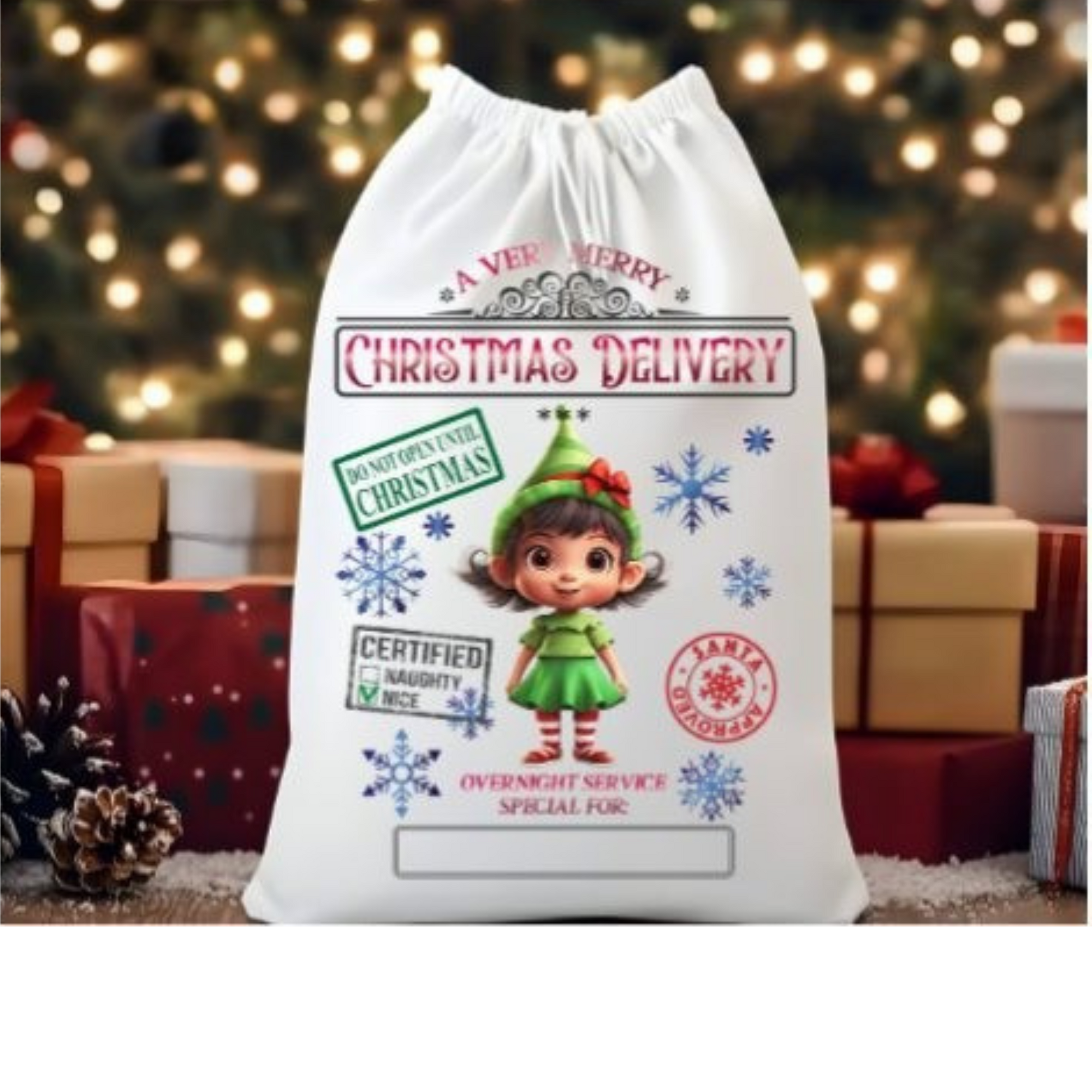 Santa Sacks