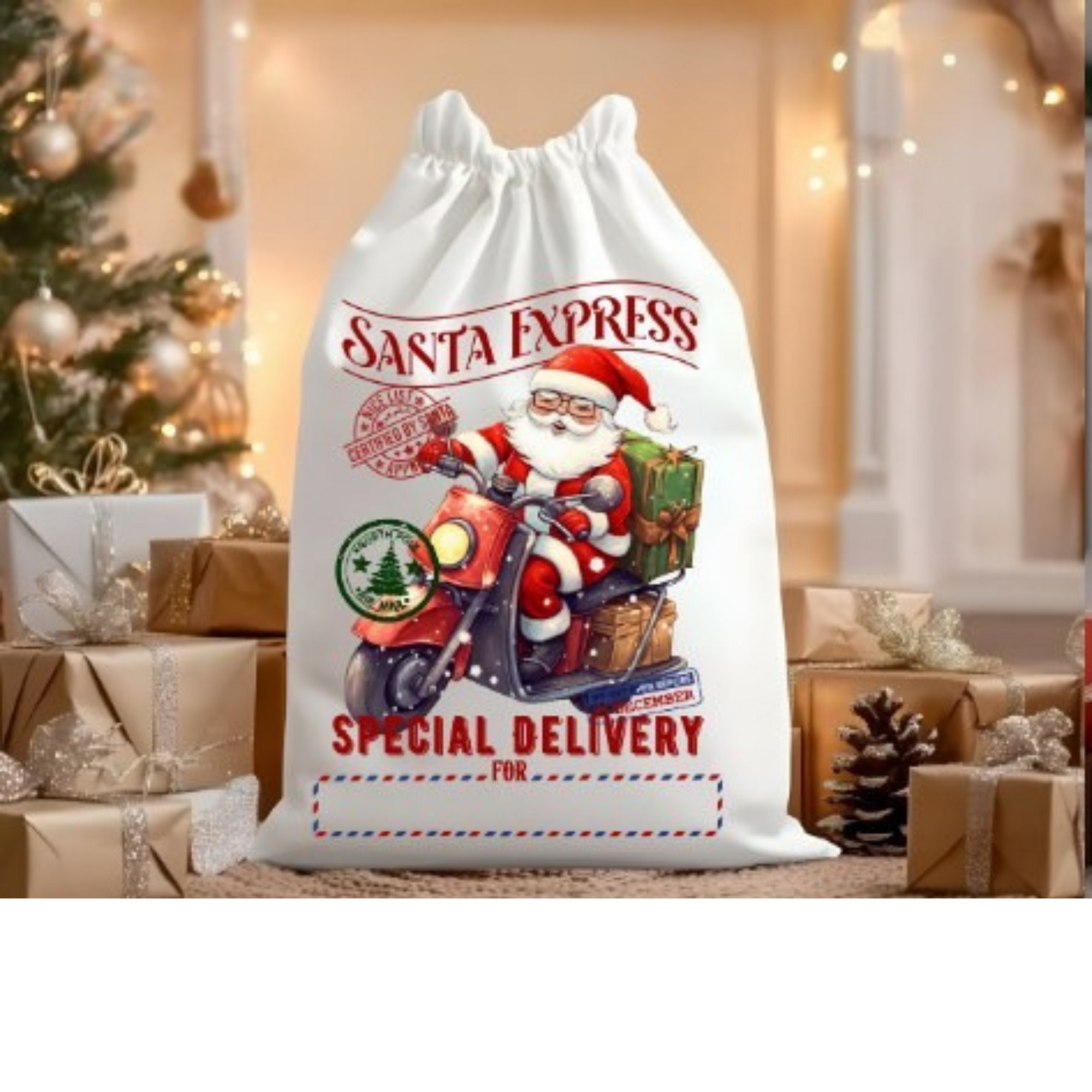 Santa Sacks