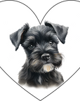 Coaster - Dogs - Schnauzer Love adorable puppy